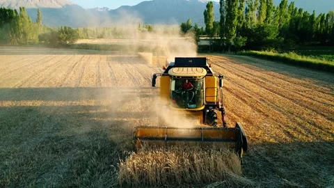 Wheat Field Stock Footage 340778991