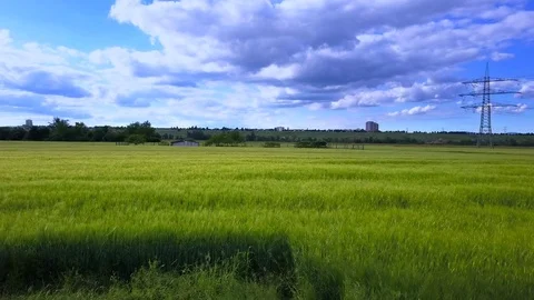 Wheat field in Germany Flyover by Aerial Drone in Germany Flyover Aerial Drone Stock Footage 88763974
