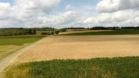 Wheat field with a highway in the background in germany Stock Footage 112872323