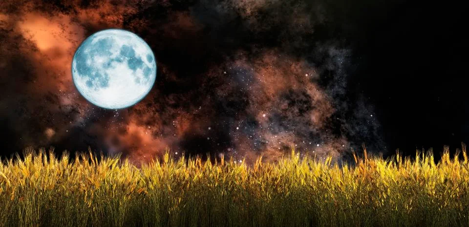 Wheat field Stock Illustration
