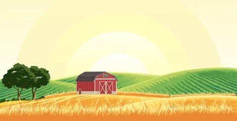Wheat field Stock Illustration