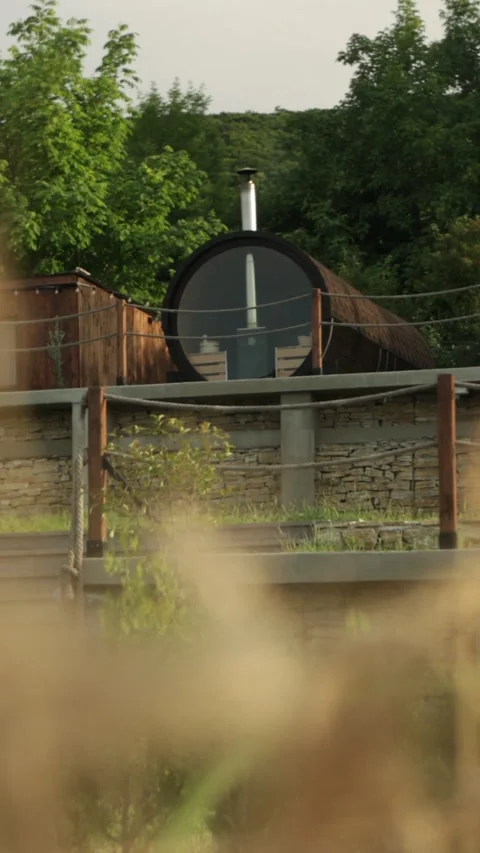Wheat Field Low Angle Sun Flare Vertical Stock Footage 306317205