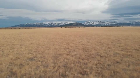 Wheat field with mountains Stock Footage 166540895