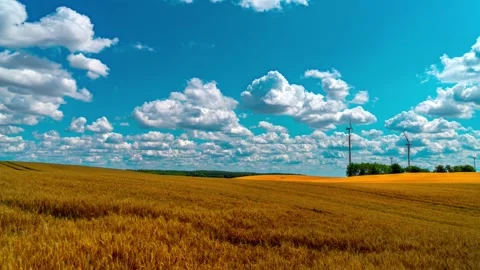 Wheat field with moving clouds timelapse. Agriculture time lapse. Ears of golden Stock Footage 246480974