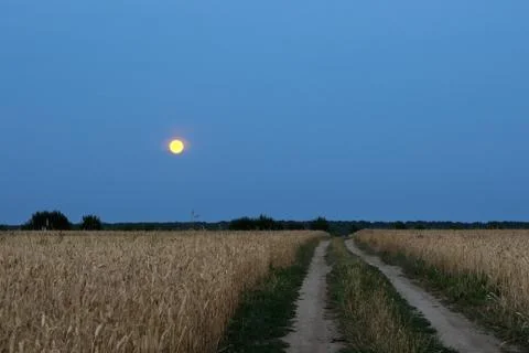 Wheat field at night Stock Photos