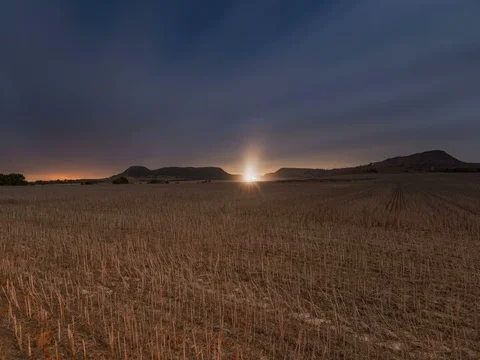 Wheat field at night under moonlight and stars Stock Footage 80458946