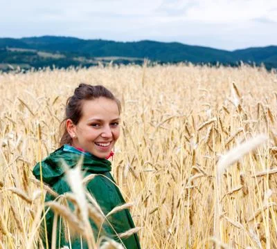 Wheat field Foto stock