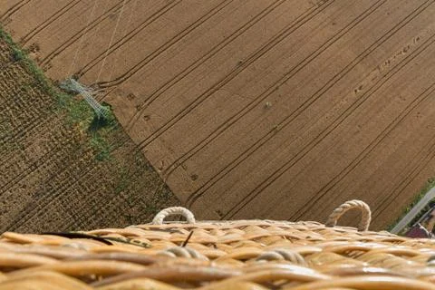 Wheat field Stock Photos
