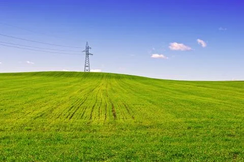 Wheat field Foto stock
