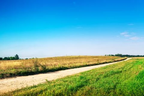 Wheat field Stockfoto's