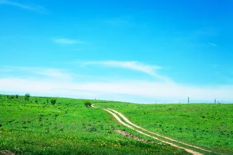 Wheat field 스톡 사진