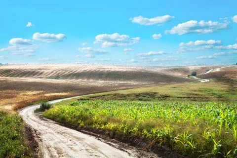 Wheat field Stock-Fotos