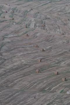 Wheat field Stock Photos