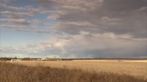 Wheat Field With Puffy Clouds In Saskatchewan HD Video Stock Footage 25628752