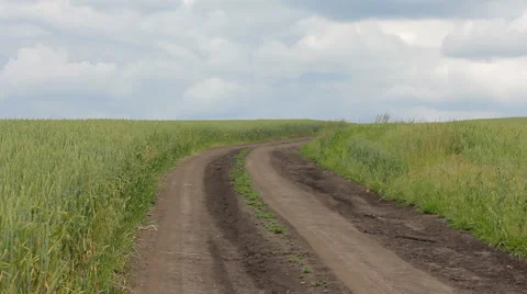 Wheat Field Road 1 Stock Footage 64269220