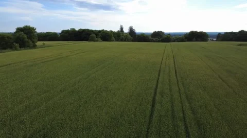 Wheat field rotation 1 Video stock 318000482