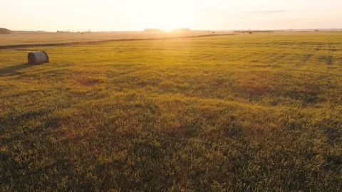 Wheat Field With Round Hey Stack at Sunrise, Golden Hour Stock Footage 92954549