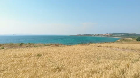 From the wheat field to the sea Vídeos de archivo 196984092