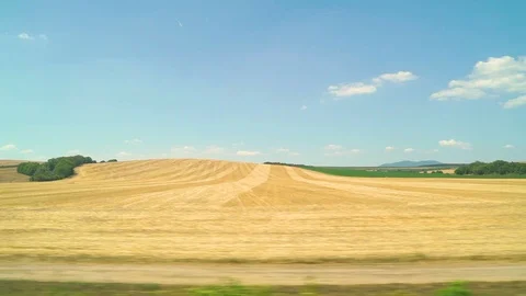 Wheat field seeing by a moving train, Slovakia. Stock-Footage 114684386