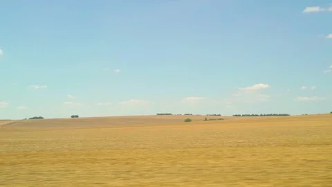 Wheat field seeing by a moving train, Slovakia. Stock Footage 114684445
