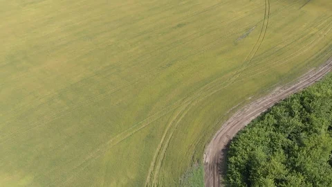 Wheat field, shooting in motion. 4k Stock Footage 91418834