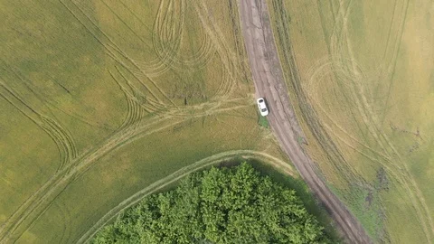 Wheat field, shooting in motion. 4k Stock Footage 91419009