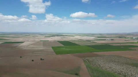 Wheat field shooting in wide field with drone. 4K 60Fps Video 스톡 동영상 336189604