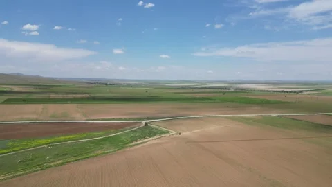 Wheat field shooting in wide field with drone. 4K 60Fps Video 스톡 동영상 336189778