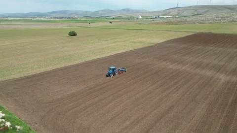 Wheat field shooting in wide field with drone. 4K 60Fps Video Stock Footage 336190810