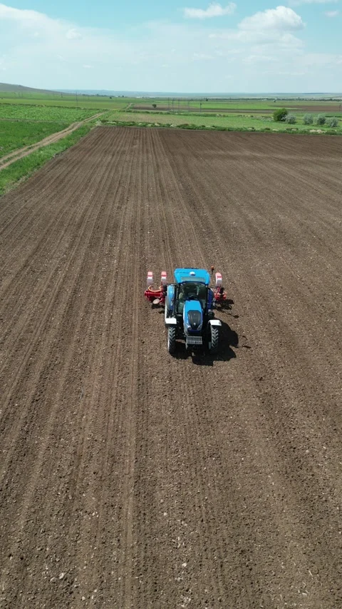 Wheat field shooting in wide field with drone. 4K vertical Stock-Footage 336190834