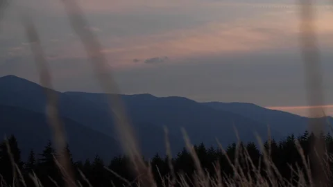 Wheat field slowly blowing in the wind at dusk, closeup 스톡 동영상 104922567