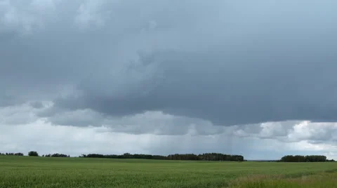 Wheat field with storm clouds Stock Footage 67637864