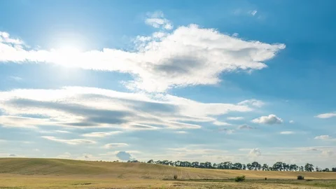 Wheat field at sunny day. Time Lapse Stock Footage 112028098