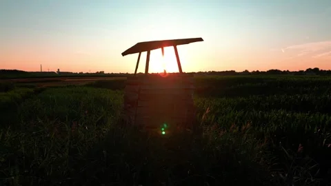Wheat field at sunset Stock Footage 247360323
