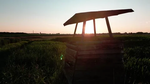 Wheat field at sunset Video stock 247360532