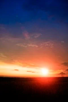 Wheat field on sunset Stock Photos