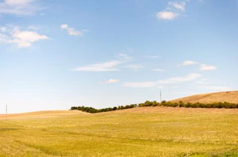 Wheat field on sunset Stock Photos
