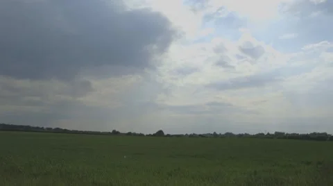 Wheat field time-lapse Video stock 44204393
