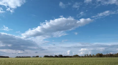 Wheat field time lapse Stock Footage 67640432