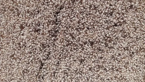 Wheat field from top view in rotating zoom out, 60 fps Stock Footage 91318848