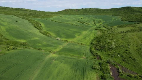 Wheat field in Transylvania Stock Footage 155072032