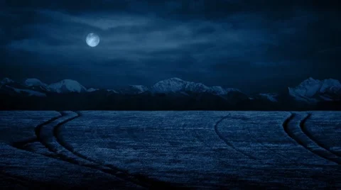 Wheat Field Under Moon At Night Vídeo Stock 61150012