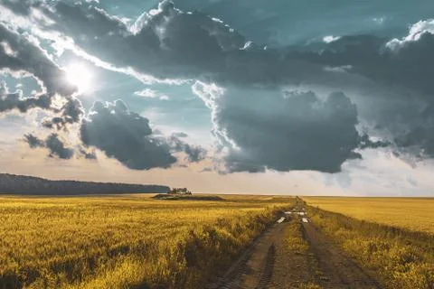 Wheat field under sunset cloud sky Stock Photos