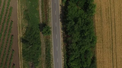 Wheat field view from the drone. Harvest time. Stock Footage 122769746