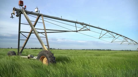 Wheat field watering Stock Footage 75783781