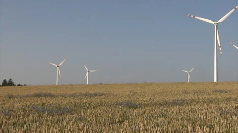 Wheat field with wind turbines camera pan Stock Footage 52320132