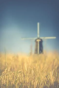 Wheat Field Windmill Stock Photos