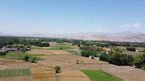 The wheat fields in Afghanistan Stock Footage 274868398