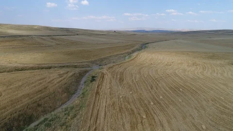 Wheat fields and bales in turkey.Aerial shot. Stock Footage
