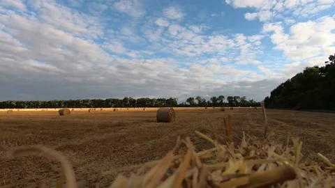 Wheat fields and clouds. Stock Footage 141135965